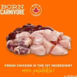 Schesir Born Carnivore Kylling og Egg