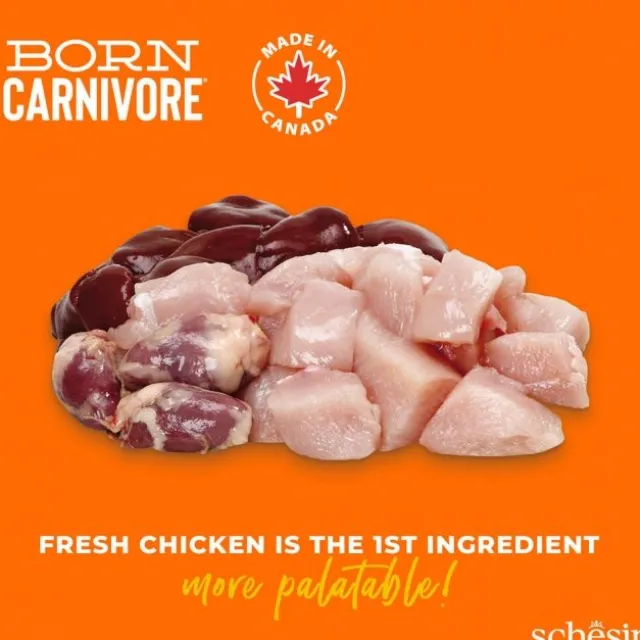 Schesir Born Carnivore Kylling og Egg
