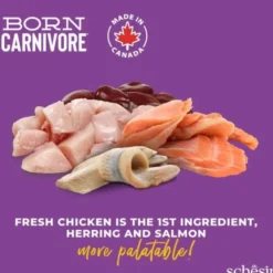 Schesir Born Carnivore Kylling og sild
