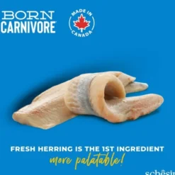 Schesir Born Carnivore Sild og Laks