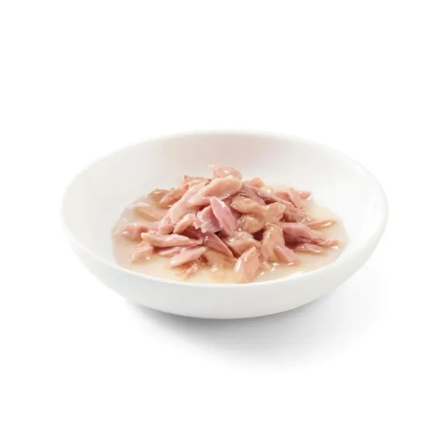 Schesir Cat Adult Tunfisk i Saus Multipack (6x50g)