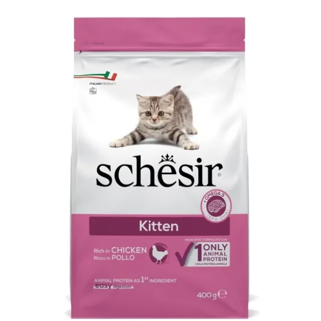 Schesir Kitten