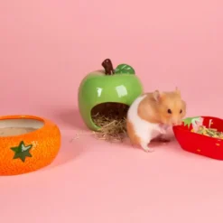 Scruffs Fruit Ceramic Matskåler til smådyr, sett