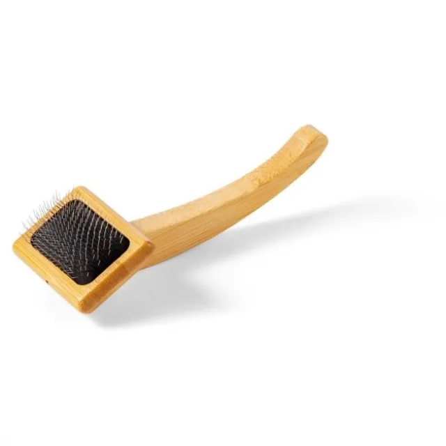 Show Dog Grooming karde med korte pigger