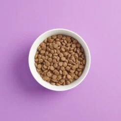 SMAAK Cat Adult GrainFree Sterilised Kalkun & Svin