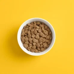 SMAAK Dog Adult Grain Free Lam