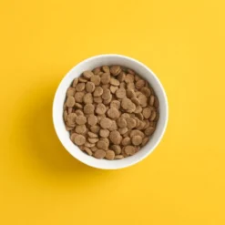SMAAK Dog Adult Grain Free Lam