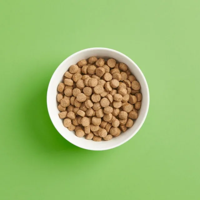 SMAAK Dog Senior & Light Kylling