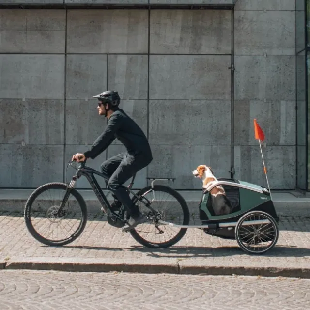 Thule Bexey sykkelvogn til Hund Grønn