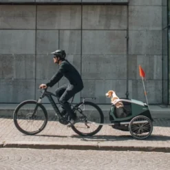 Thule Bexey sykkelvogn til Hund Grønn