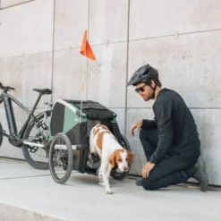 Thule Bexey sykkelvogn til Hund Grønn