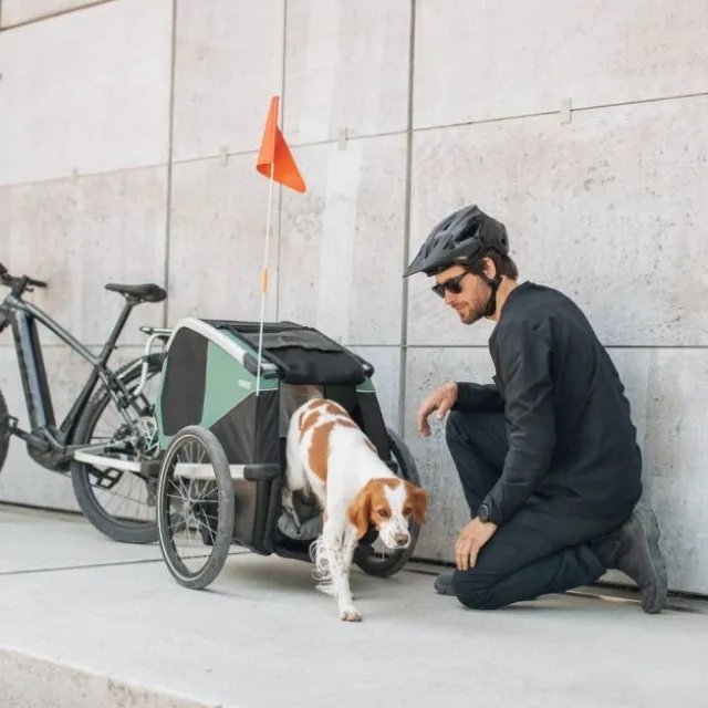 Thule Bexey sykkelvogn til Hund Grønn