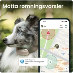 Tractive GPS & Health Tracker for Hund Brun