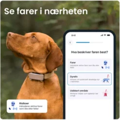 Tractive GPS & Health Tracker for Hund Brun