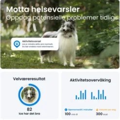 Tractive GPS & Health Tracker for Hund Brun