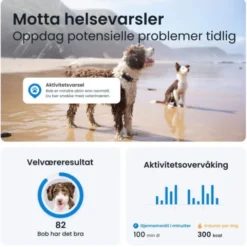 Tractive GPS & Health Tracker for Hund Sort