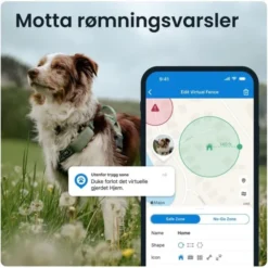 Tractive GPS til hund XL