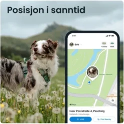 Tractive GPS til hund XL