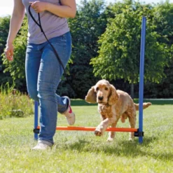 Trixie Agility Hopphinder 123x115cm