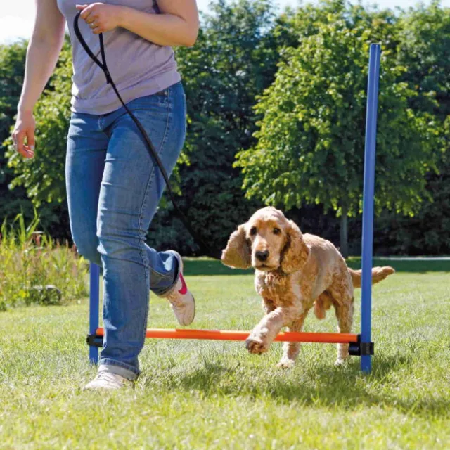 Trixie Agility Hopphinder 123x115cm