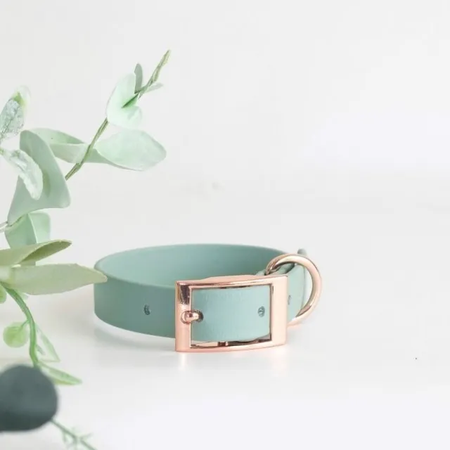 Tyylivoitto Classy Hundehalsbånd Liten Modell, Mint