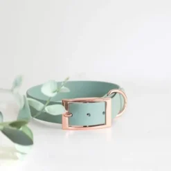 Tyylivoitto Classy Hundehalsbånd, Mint