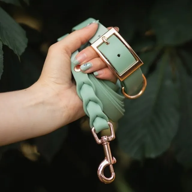 Tyylivoitto Classy Hundehalsbånd, Mint