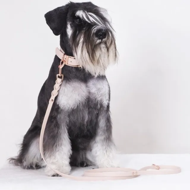 Tyylivoitto Classy Hundehalsbånd Liten Modell, Beige