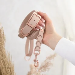 Tyylivoitto Classy Hundehalsbånd Liten Modell, Beige