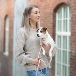 Tyylivoitto Classy Hundehalsbånd Liten Modell, Beige