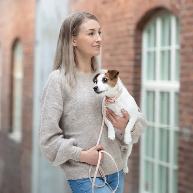 Tyylivoitto Classy Hundehalsbånd Liten Modell, Beige