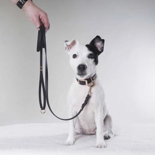 Tyylivoitto Classy Hundehalsbånd Liten Modell, Svart