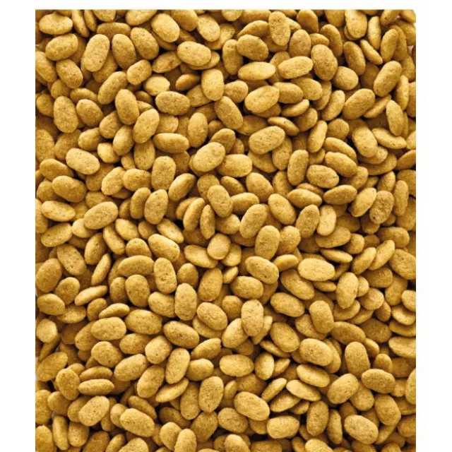 Versele-Laga NutriBird P15 Original 1 kg