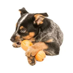 West Paw Qwizl orange