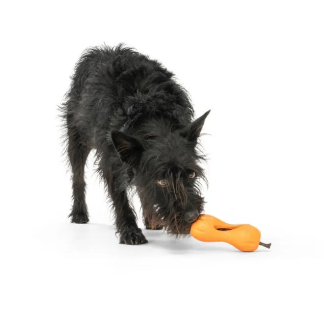 West Paw Qwizl orange