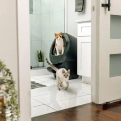 Whisker Litter-Robot 4 Selvrensende Kattetoalett Sort