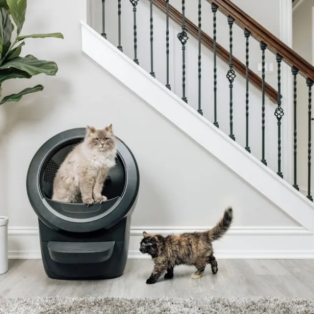 Whisker Litter-Robot 4 Selvrensende Kattetoalett Sort
