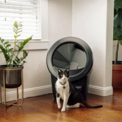 Whisker Litter-Robot 4 Selvrensende Kattetoalett Sort