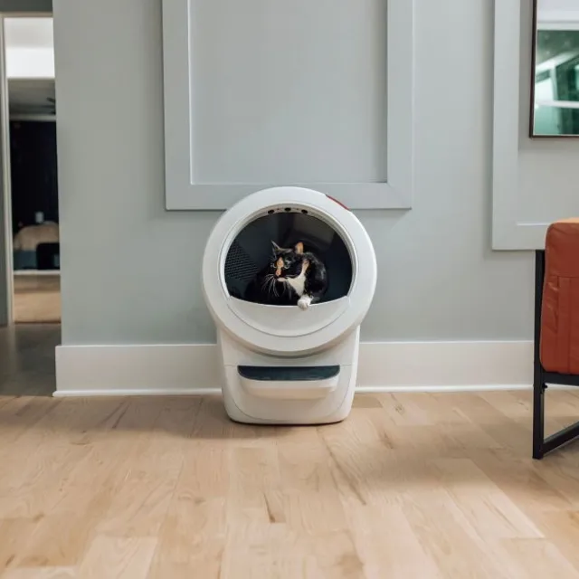 Whisker Litter-Robot 4 Selvrensende Kattetoalett Hvit