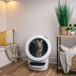 Whisker Litter-Robot 4 Selvrensende Kattetoalett Hvit
