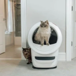 Whisker Litter-Robot 4 Selvrensende Kattetoalett Hvit