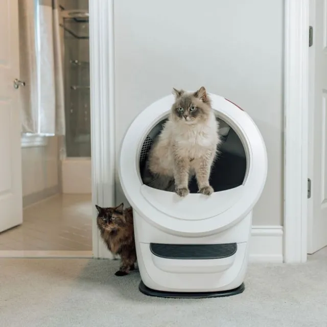 Whisker Litter-Robot 4 Selvrensende Kattetoalett Hvit